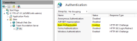 Basic auth configuration